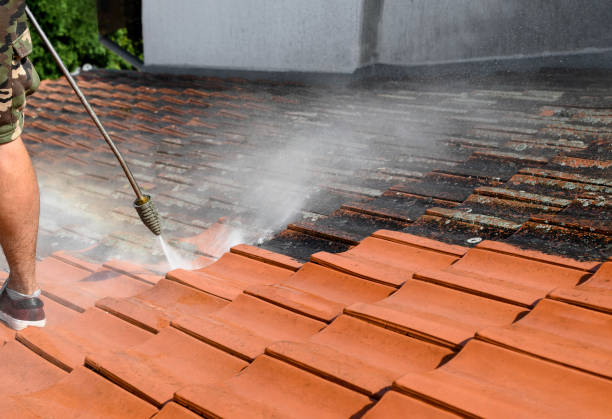 Best Roof Pressure Washing  in Batavia, OH